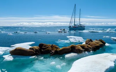 Imagem ilustrativa da imagem Museu do Mar inaugura exposição ‘Passagem Noroeste’ nesta terça, 4