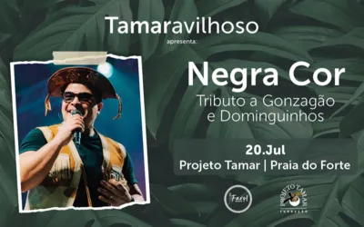 Imagem ilustrativa da imagem Negra Cor no Projeto Tamar
