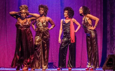 Imagem ilustrativa da imagem Teatro Módulo recebe musical em homenagem a Elza Soares