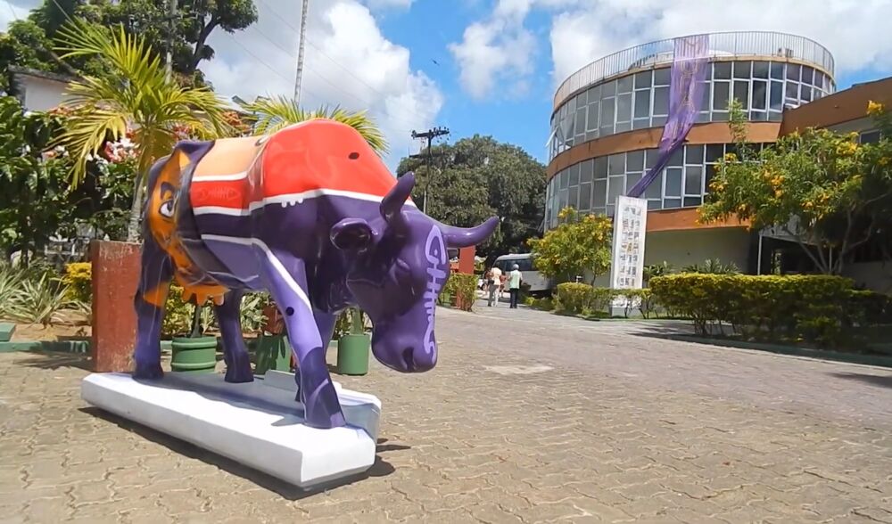 Imagem ilustrativa da imagem Estação Bairro da Paz recebe escultura em homenagem à Mulher de Roxo