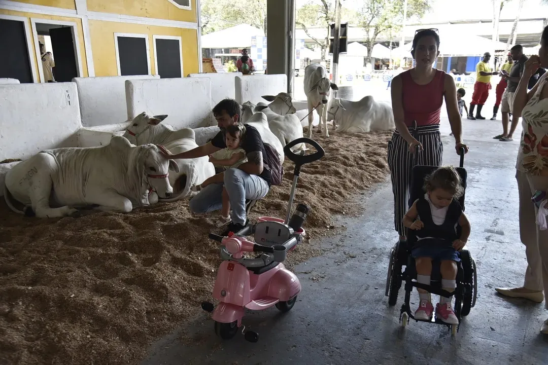 
		Fenagro tem entrada solidária para visitação à feira segunda e terça