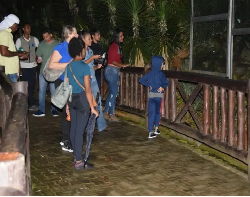 
		Zoológico de Salvador volta a promover passeio noturno