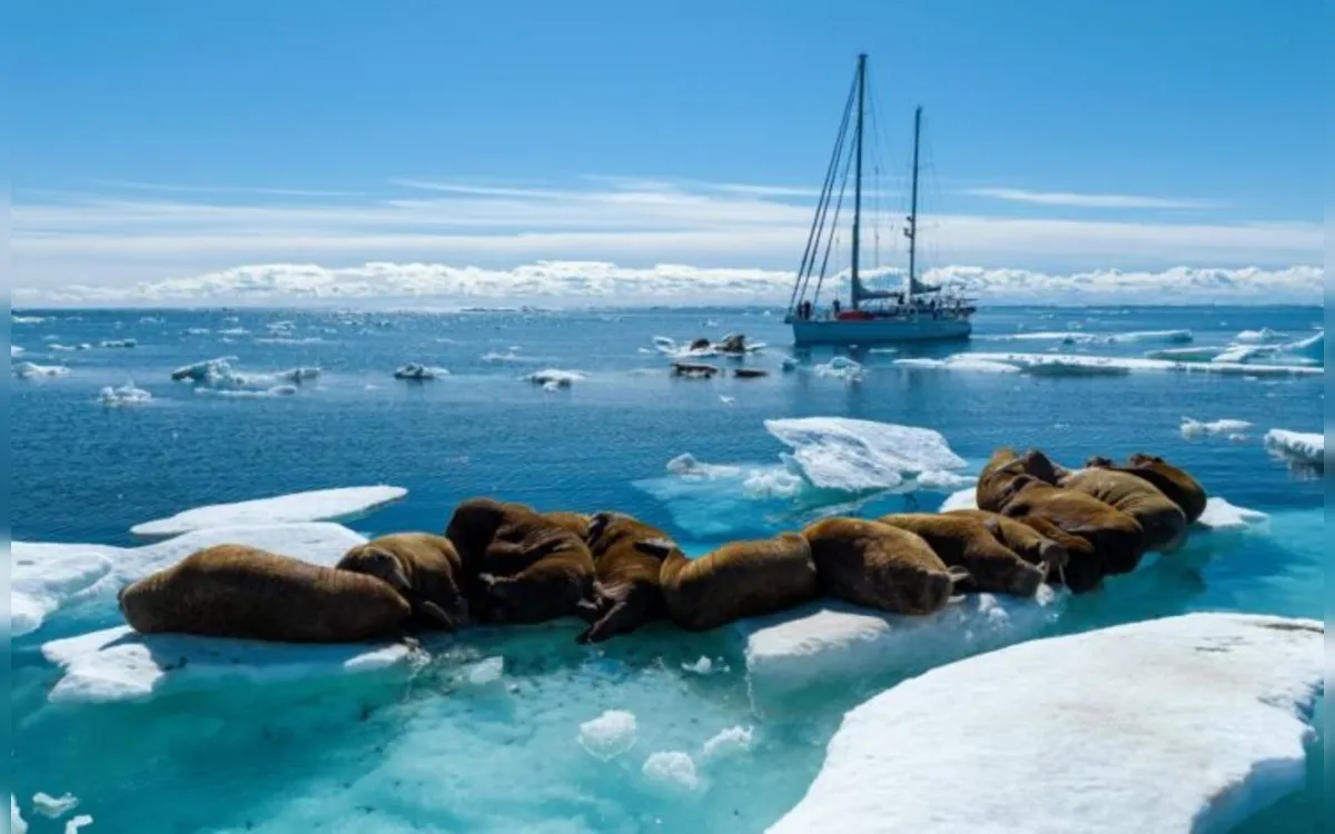 Museu do Mar inaugura exposição ‘Passagem Noroeste’ nesta terça, 4