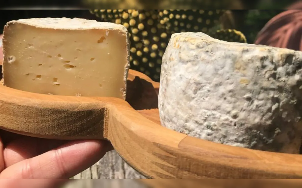 Salvador será palco do 1º Festival de Queijo Artesanal da Bahia