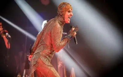 Imagem ilustrativa da imagem Ney Matogrosso será enredo de escola de samba no Carnaval 2026