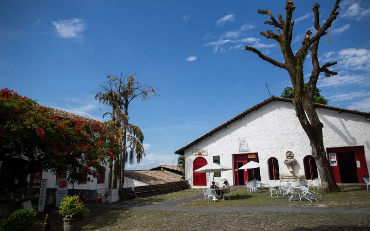 MAM recebe programação especial da Semana de Museus