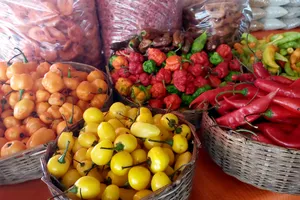 Festival Tempero Bahia celebra gastronomia e sabores da Mata Atlântica
