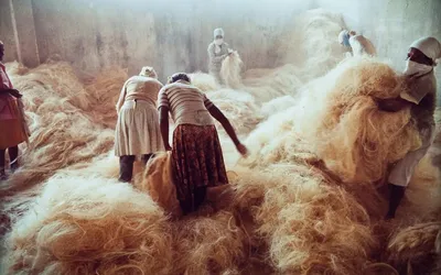 Imagem ilustrativa da imagem Exposição concebida para a Cúpula do G20 fará estreia em museu de Salvador