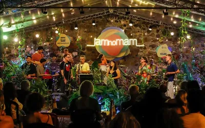 Imagem ilustrativa da imagem JAM no MAM promove edição junina