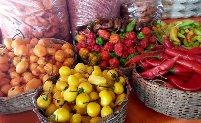 Festival Tempero Bahia celebra gastronomia e sabores da Mata Atlântica