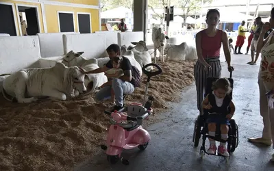 Imagem ilustrativa da imagem Fenagro tem entrada solidária para visitação à feira segunda e terça