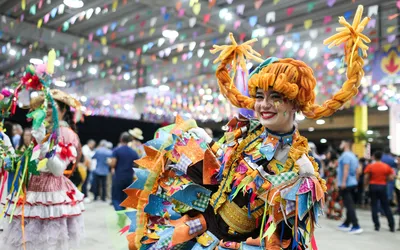 Imagem ilustrativa da imagem Parque de Exposições terá 12 dias de festa junina; confira programação