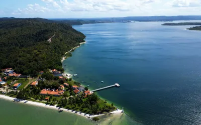 Imagem ilustrativa da imagem Projeto ambiental vai restaurar manguezais na Baía de Todos-os-Santos